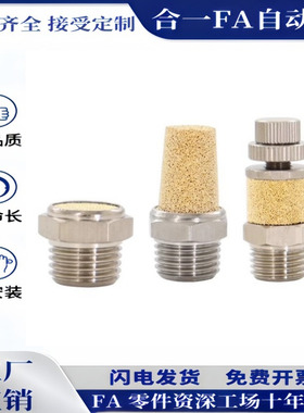 BSL-M5 SL-01 SL-02 SL-03 SL-04专业气动接头 全铜消声器 消音器