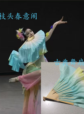 舞蹈扇子枝头春意闹双面真丝扇古典舞胶州秧歌扇广场舞扇子