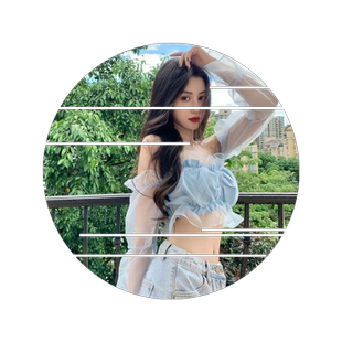 短款泡泡袖法式小众衬衫秋季修身一字领长袖衬衣网纱套头上衣女装