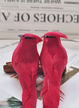 真羽毛仿真小鸟 森系园林园艺装饰鸟 白色红色工艺品泡沫假鸟