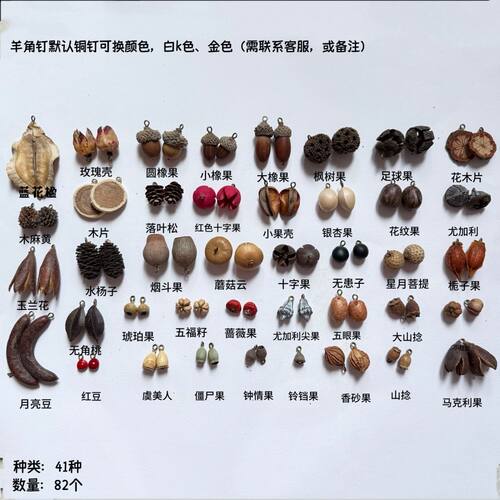 带钉果实橡果松果莲蓬耳饰装饰手工diy果子手链植物果子豆荚配件