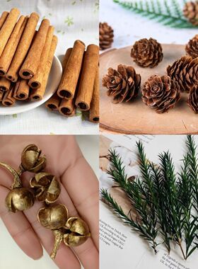 肉桂生财千层金叶摆件装饰客厅新房子发财瓶乔迁之喜开业招财摆件