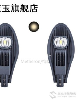 220V 30W LED Street Light 130-140 Lumens Flood Lamp Waterpro