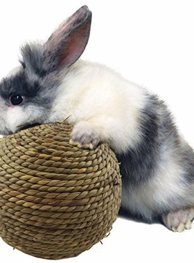 Small Pet Chew Toys Natural Grass Ball Rabbit Hamster Chewin