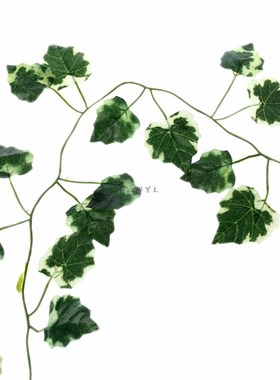 Reptile Box Lizards Terrarium Artificial Vine Decoration Liz