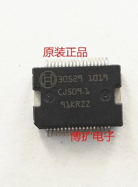 10PCS/LOT 30529 5V Power Supply Driver Chip For CAR Magotan/