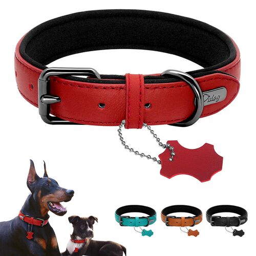 Didog Leather Dog Neoprene Padded Pet Collar Leash Harness