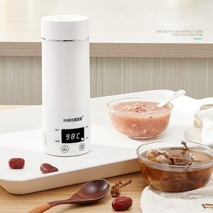 Portable Miini Electric Kettle Water Thermal Heating Boiler