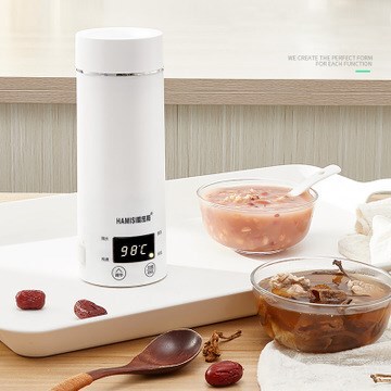 Portable Miini Electric Kettle Water Thermal Heating Boiler