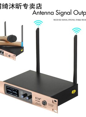 Wireless Microphone System UHF Professional Karaoke Mic 2 Ch