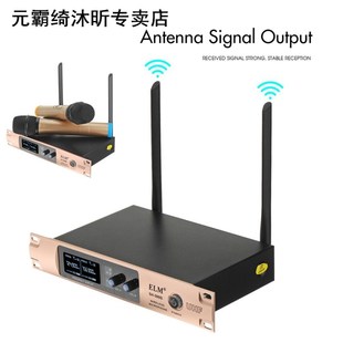 Wireless Microphone System UHF Professional Karaoke Mic 2 Ch