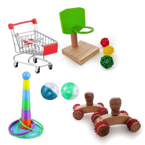 Pet Bird Intelligence Training Educational Toys Roller Skate