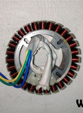 5000 Watt (48V/60V/72V) Customized  Copper Winding Rotor