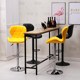 minimalist back high lift chair stool modern Bar