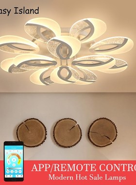 Nordic Ceiling lights  post-modern living room Fixtures room