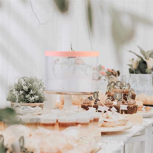 3pcs Cake Boxes Cake Case Plastic Cake Container Bakery Box