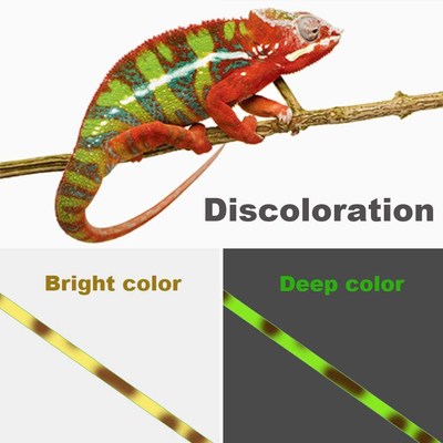 500m Invisible Fishing line Speckle Carp Fishing 3D Camoufla