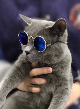 狗狗墨镜小型网红宠物狗太阳镜