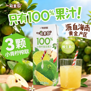 一甸果园100%小青柠复合果汁0添加糖约3颗小青柠榨取饮料200mL
