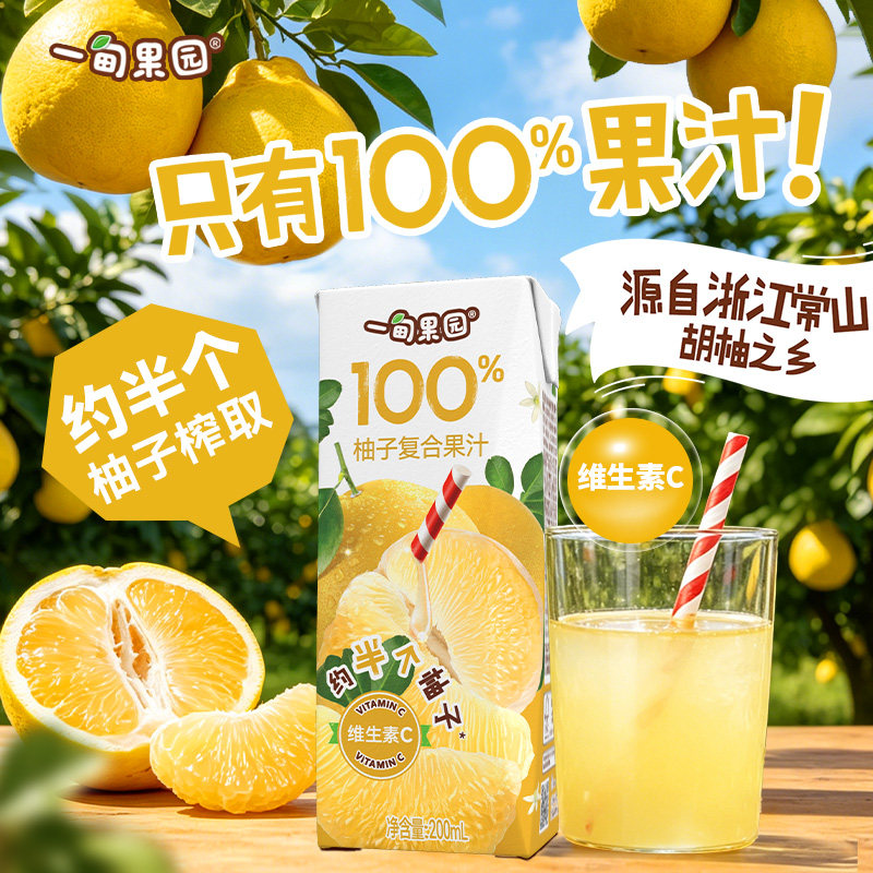 一甸果园100%柚子复合果汁0脂0糖健康饮品常山胡柚饮料200ml*10盒