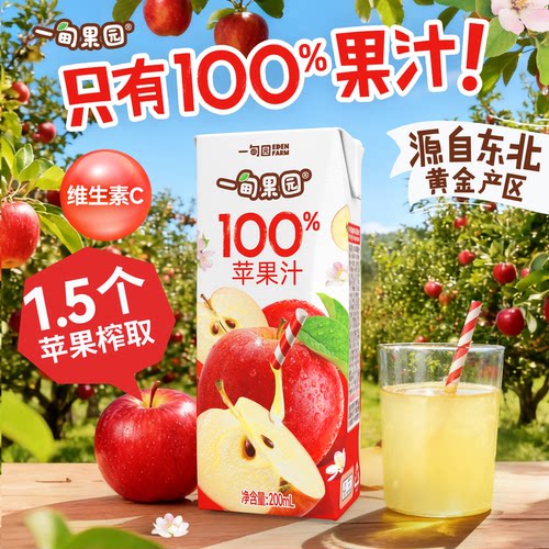 一甸果园100%苹果汁200mL*10盒