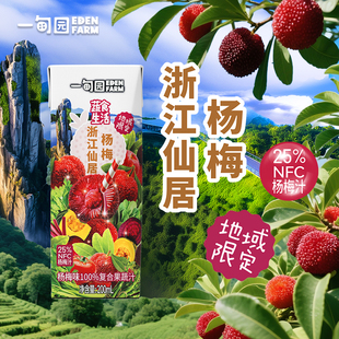 一甸园地域限定浙江仙居杨梅味100%复合果蔬汁200mL 10盒1箱