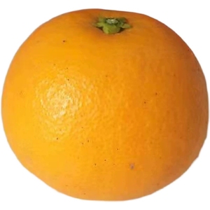 湖南麻阳锦红冰糖橙 甜新鲜水果农家自产现货现发应季薄皮甜橙子