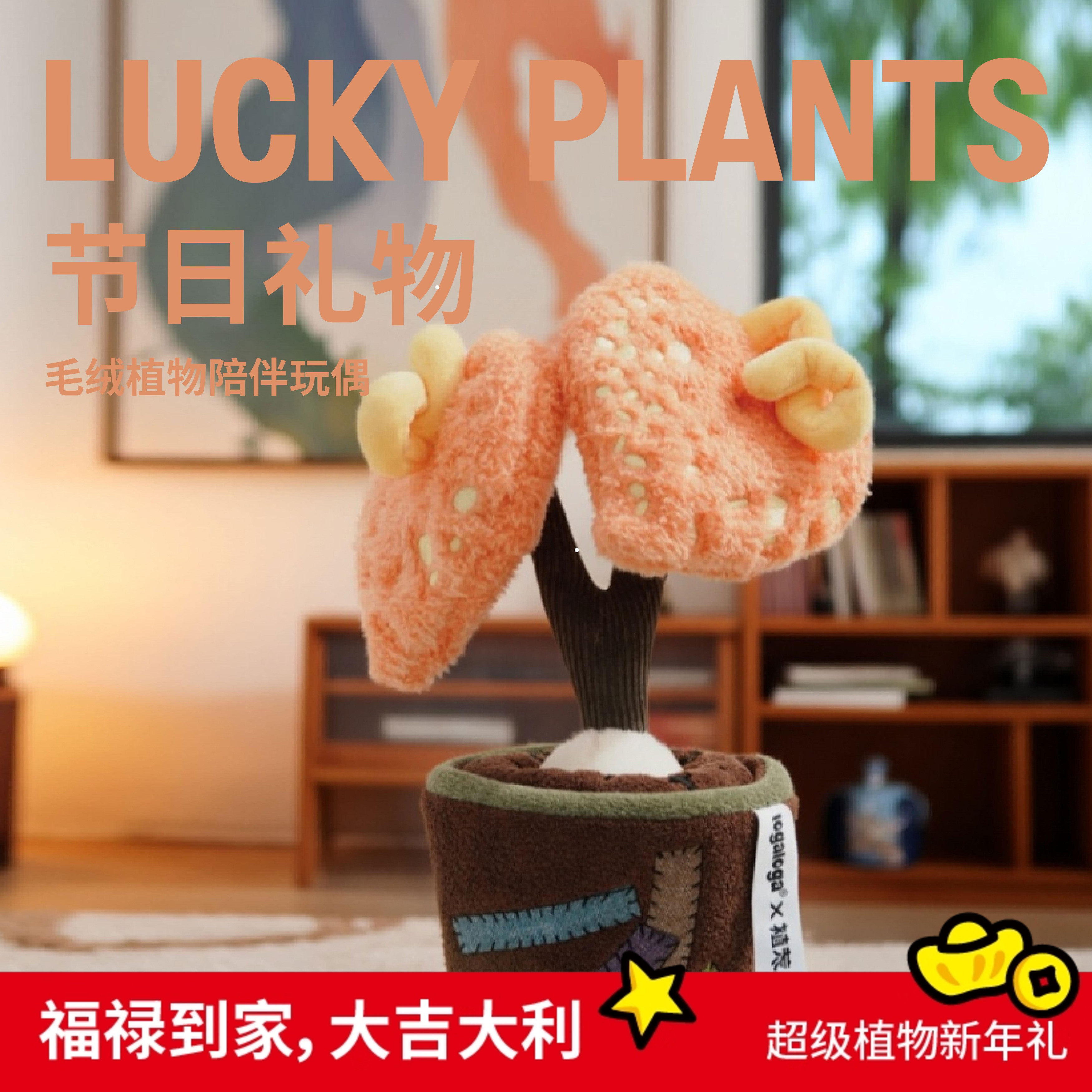 超级植物猪猪小姐毛绒盆栽创意摆件植荒玩偶生日新年礼物伴手礼