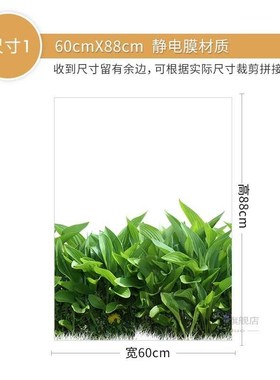 Glue-free electrostatic glass film living room sliding door