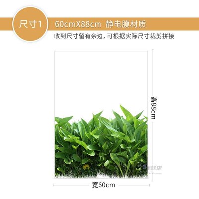 Glue-free electrostatic glass film living room sliding door