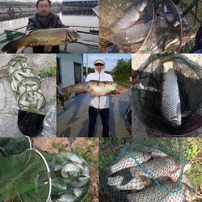 Source of fishing fish bait wild grass carp carp formula nes