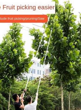 gao zhi jian Pruning Shears Fruit Scissors Picking Shear zha