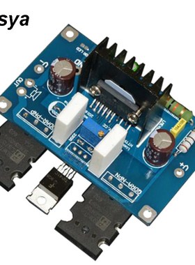 Mono power amplifier board Push 2 LME49810 The Big Tube Ampl