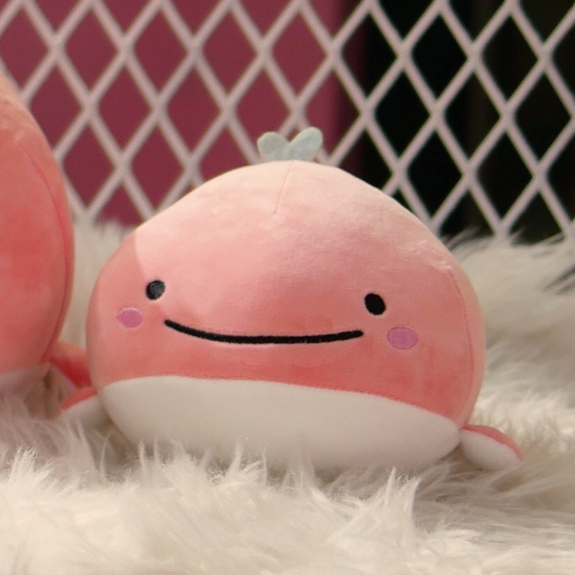 15CM Cute Down Cotton Whale Plush Toy Super Soft Dolphin Pi