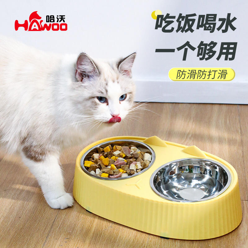 新款大眼猫碗宠物猫狗食盆 泰迪比熊双碗饭盆小号猫食碗狗盘猫咪