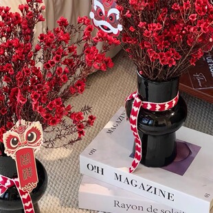 红色腊梅云南昆明斗南鲜花基地直发家居办公室客厅店铺花材