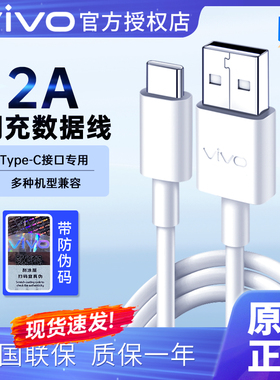 vivo原装闪充数据线2A type-c快充x50S7X27 Neo3y53G1Y9s Y50Y73S y32y31s y52s y55手机充电线iQOO原厂原配