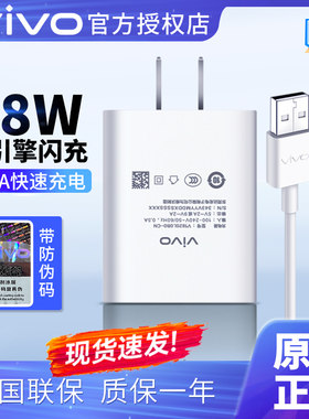 vivo原装18w快充充电器数据线