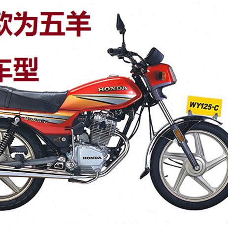 老款125摩托车后扶手提手把手改装车配件加厚加粗钢尾翼货架尾架