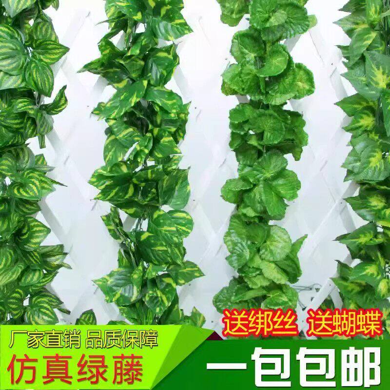 墙面挂饰仿真葡萄叶装饰假树叶绿叶爬山虎绿萝叶藤条吊顶叶子植物
