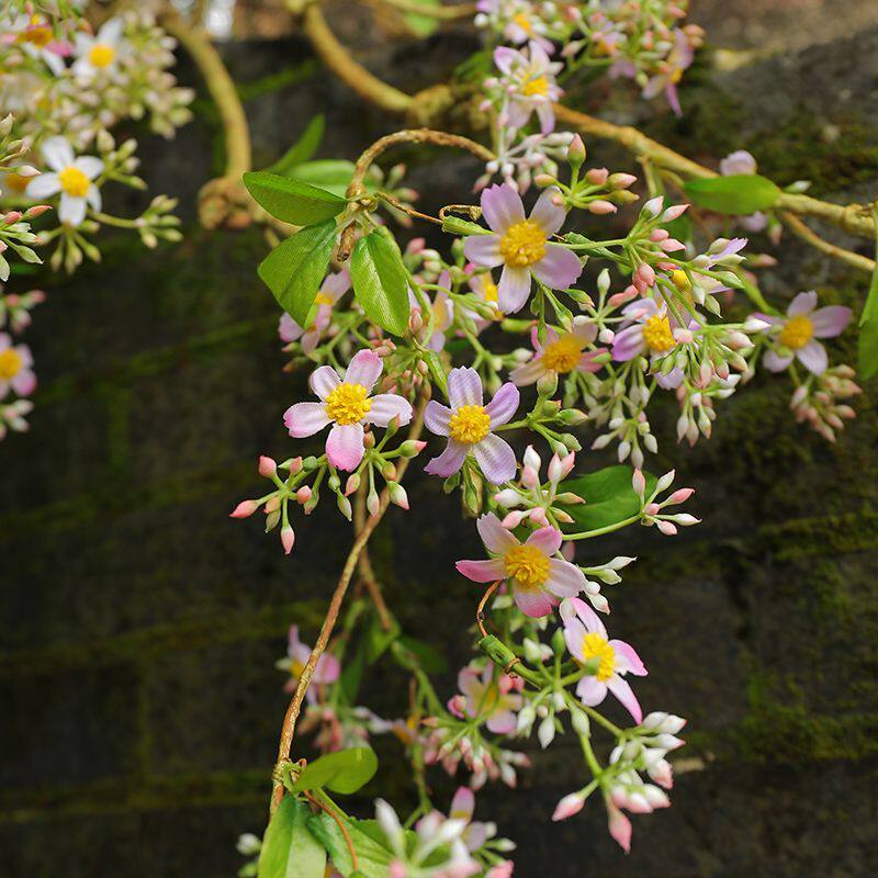 仿真花枝易造型海棠花藤枝 禅意中式家居装饰花藤野菊花