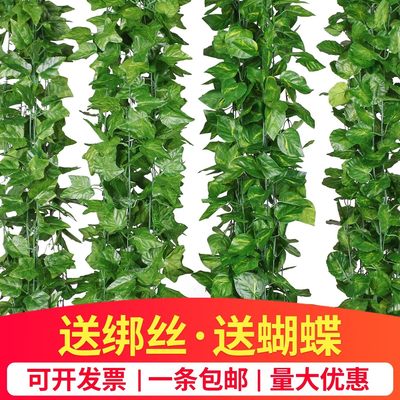 仿真葡萄叶藤蔓藤条绿树叶子水管道遮挡吊顶装饰塑料绿萝植物缠绕