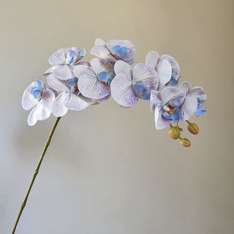 仿真蝴蝶兰北欧假花 高品质湿感餐边柜插花酒店宴会花艺装饰品