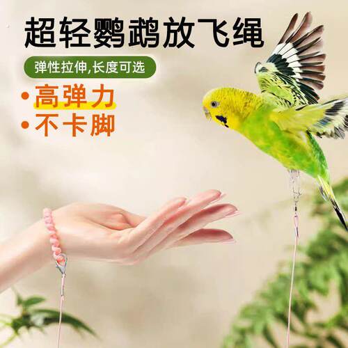 鹦鹉放飞绳绳训练虎皮玄凤牡丹脚环脚链遛鸟飞行绳外出鹦鹉牵引绳