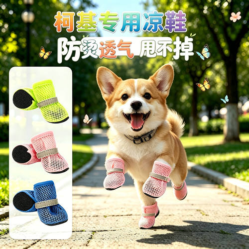 柯基专用狗狗凉鞋小狗鞋子夏天透气宠物小型犬狗夏季外出易穿不掉