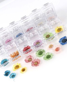 14styles 1 Box Real Pressed Flower Leaves Crystal Epoxy Fill