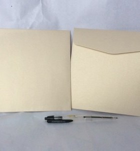 50pcs/lot Pearl Light CardPaper Envelope Square ( 15*15 Cent