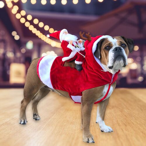 Christmas Dog Clothes For Small Dogs Santa Claus Riding a De