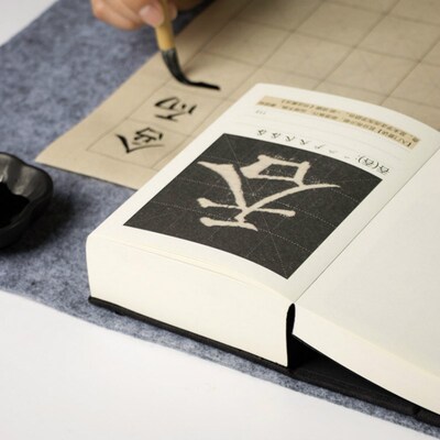 Traditional Chinese Calligraphy Copybook Chinese Character S