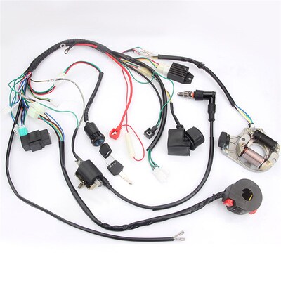 Full Electrical Wiring Harness Kit Fit  Dirt Bike AV QAD 50